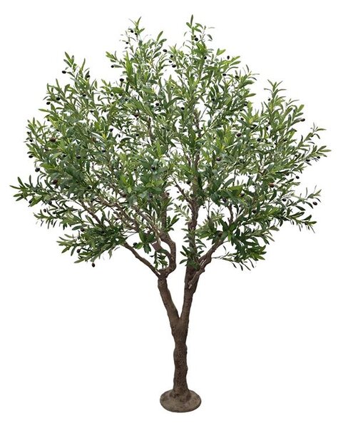 OLIVE TREE NP496_240_UV ΥΨΟΣ 240cm NewPlan