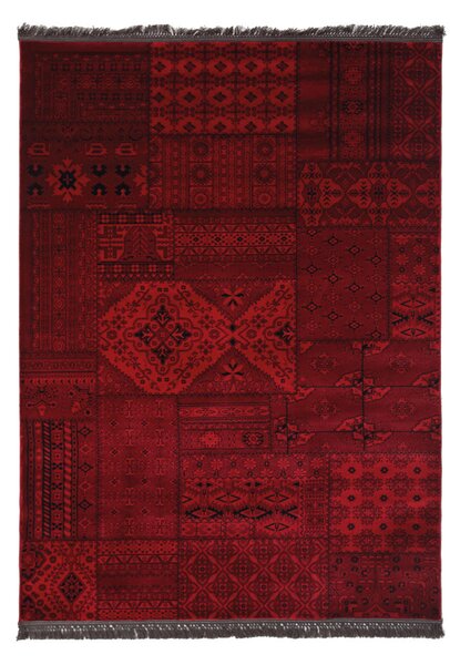 Κλασικό χαλί Afgan 7675A D.RED Royal Carpet - 160×160 cm