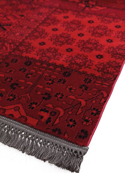 Κλασικό χαλί Afgan 7675A D.RED Royal Carpet - 160×160 cm