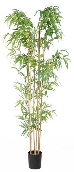 BAMBOO NP5801_180_22_UV Ύψος 180cm