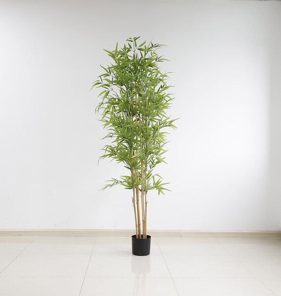 BAMBOO NP6321_180_22 Ύψος 180cm