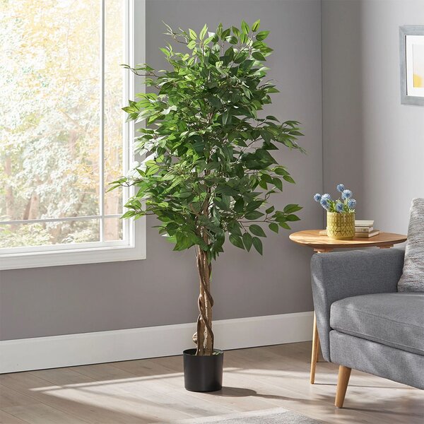 FICUS TREE NP0078_120 Ύψος 120cm