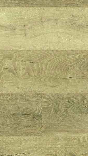 Laminate TARKETT Essentials 832 4V 8mm 510031022 VICTORIA OAK NATURE