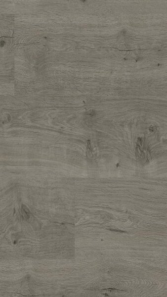 Laminate TARKETT Style 832 8mm 510030006 BELMOND OAK NATURE