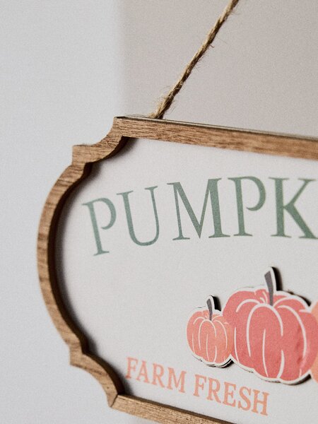 Sinsay - Κρεμαστή διακόσμηση με επιγραφή «Pumpkin Patch» - πολυχρωμο