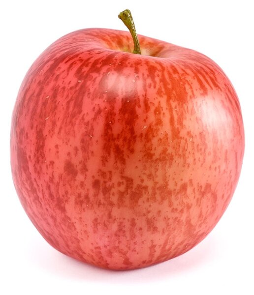 Διακοσμητικό Φρούτο (Φ9x8) Emerald Apple Red 433315