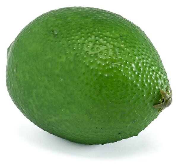 Διακοσμητικό Φρούτο (Φ6x8) Emerald Lime 433311
