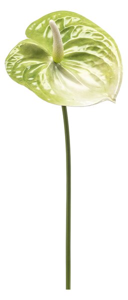 Τεχνητό Κλαδί 65κ. Emerald Anthurium Green 435629