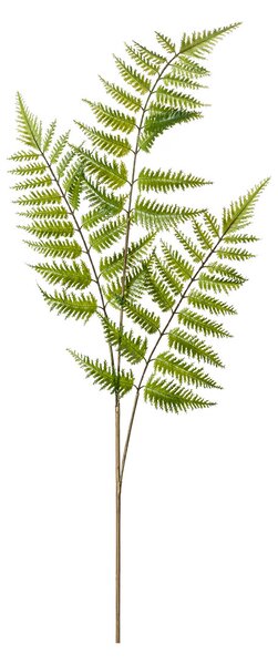 Τεχνητό Κλαδί 85εκ. Emerald Fern Green 419120