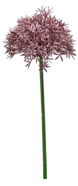 Τεχνητό Λουλούδι 62εκ. Emerald Allium Purple 423783