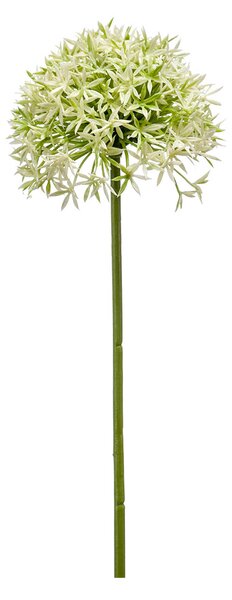 Τεχνητό Λουλούδι 62εκ. Emerald Allium Cream/Green 423780