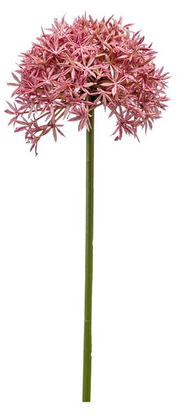 Τεχνητό Λουλούδι 62εκ. Emerald Allium Pink 423781