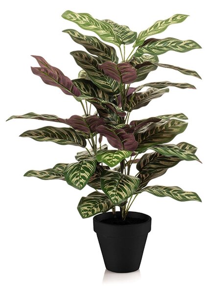 Τεχνητό Φυτό Σε Γλάστρα 65εκ. Emerald Calathea 435263