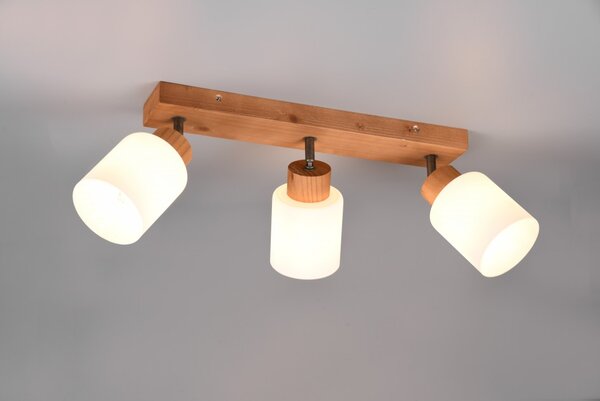 Πλαφονιέρα Φωτιστικό Οροφής E14 25W IP20 Assam R81113030 Trio Lighting R81113030 Καφέ