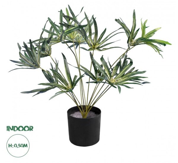 Artificial Garden BROADLEAF LADY PALM 20059 Τεχνητό Διακοσμητικό Φυτό Πλατύφυλλος Φοίνικας Μπαμπού Υ50cm Globostar 20059 Πράσινο