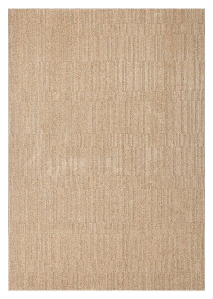 Χαλί (160x230) Tzikas Carpets Tampa 55002-070