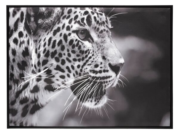 Πίνακας atmosphera Leopard, 58x58 cm