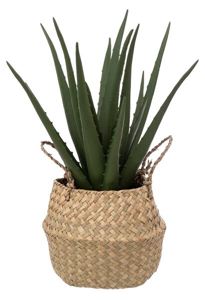 Τεχνητό φυτό atmosphera Aloe Vera, 37 cm