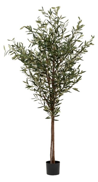 Τεχνητό φυτό atmosphera Martin, 210 cm
