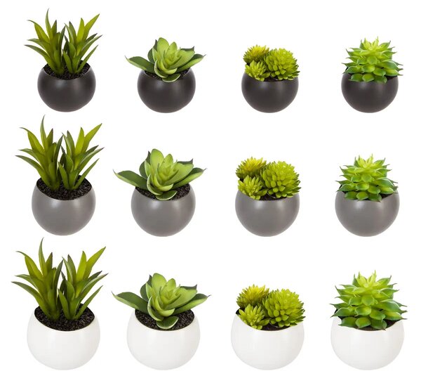 Τεχνητό φυτό atmosphera Succulent, 6 εκ., διάφορα σχέδια