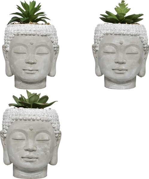 Τεχνητό φυτό atmosphera Buddha, 13.5 εκ., διάφορα σχέδια
