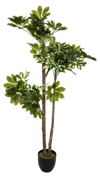 Τεχνητό φυτό atmosphera Schefflera, 130 εκ