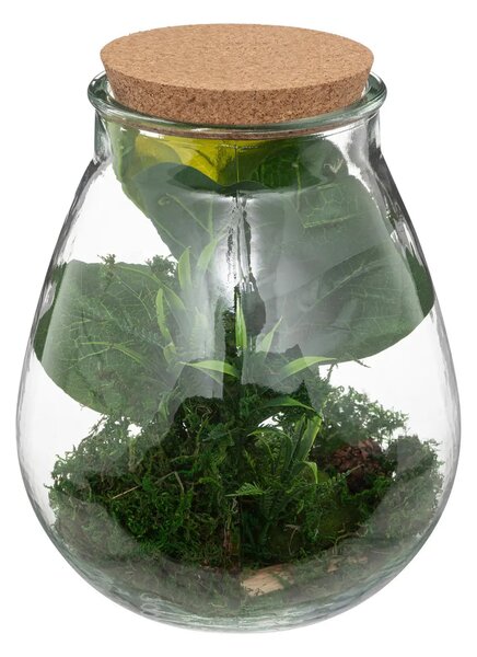 Τεχνητό φυτό atmosphera Botanic Terrarium, 29.5 εκ