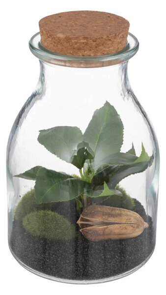 Τεχνητό φυτό atmosphera Botanic Terrarium, 19.5 εκ