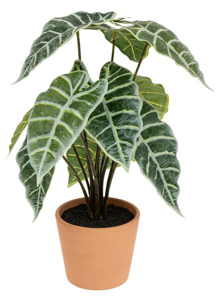 Τεχνητό φυτό atmosphera Soleya Alocasia, 43 εκ