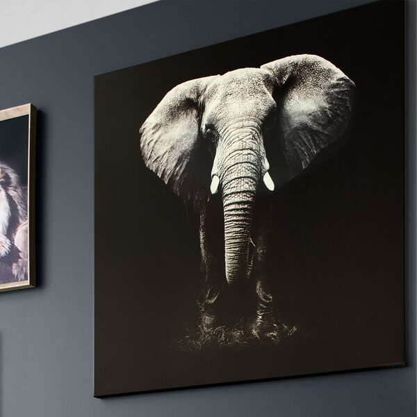 MOD Premium Πίνακας καμβάς Elephant 100x100cm 158209