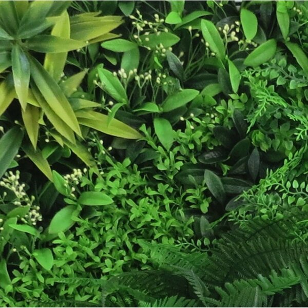 Greenworld Τεχνητή Φυλλωσιά Φτέρη με Baby Tooth Moss 100x100 εκ