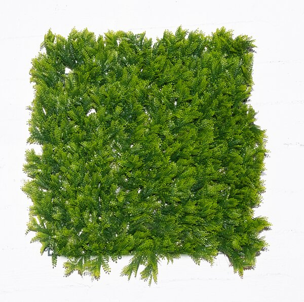 Greenworld Τεχνητή Φυλλωσιά Φτέρη Maidenhair 50x50 εκ