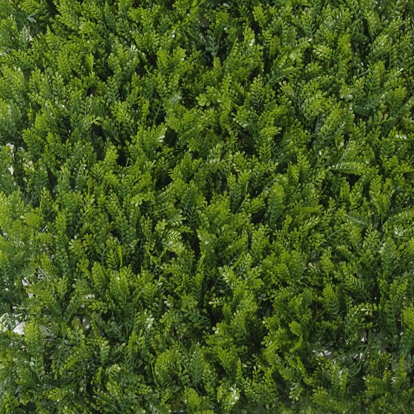 Greenworld Τεχνητή Φυλλωσιά Φτέρη Maidenhair 50x50 εκ