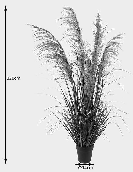 Διακοσμητικό φυτό με γλάστρα Bulrush Πράσινο 65x65x120 cm