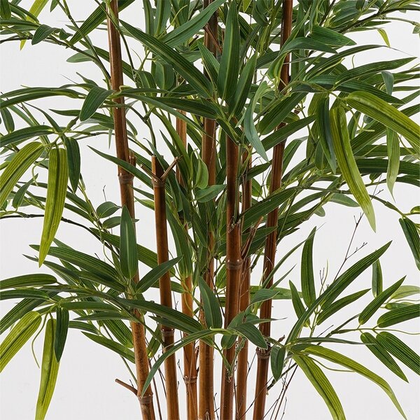 Διακοσμητικό φυτό με γλάστρα Rhapis Palm Πράσινο 80x80x180 cm