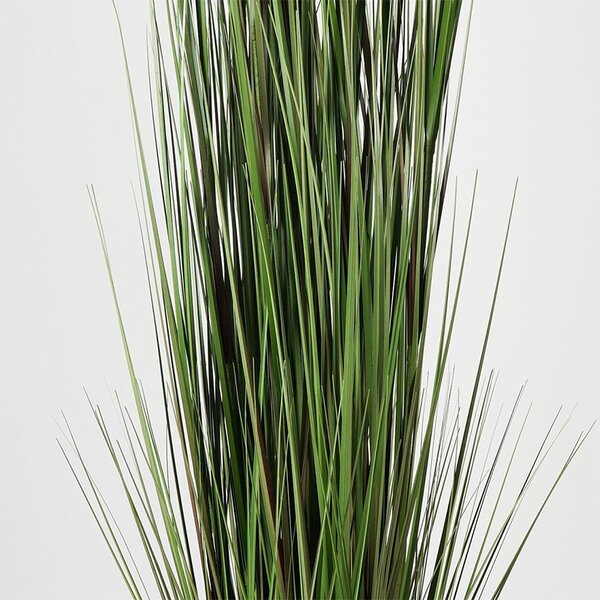 Διακοσμητικό φυτό Boxwood Μαύρο 46x46x150 cm
