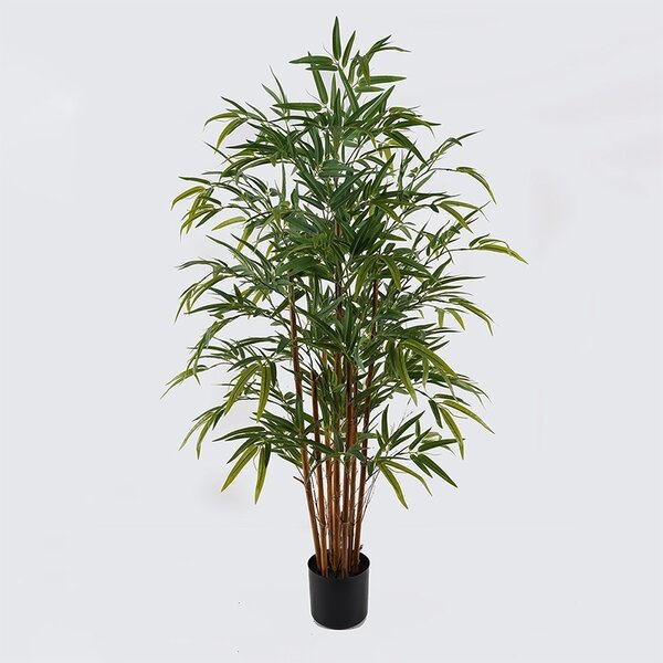 Διακοσμητικό φυτό με γλάστρα Rhapis Palm Πράσινο 80x80x180 cm