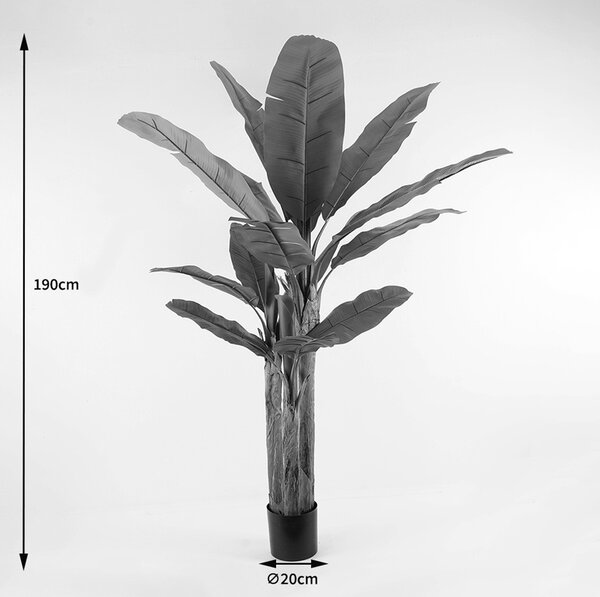 Διακοσμητικό φυτό με γλάστρα Banana Tree Πράσινο 53x53x190 cm