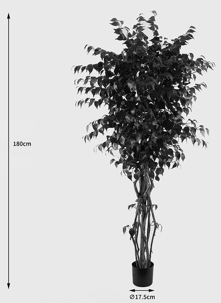 Διακοσμητικό φυτό Banyan Πράσινο 95x95x180 cm
