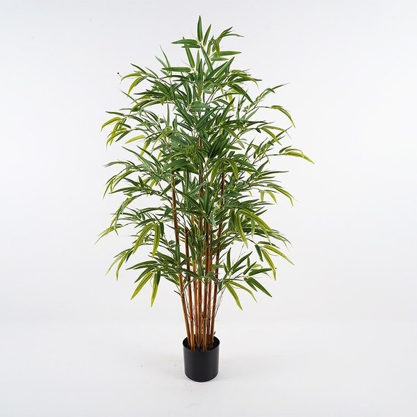 Διακοσμητικό φυτό Rhapis Palm Πράσινο 60x60x120 cm
