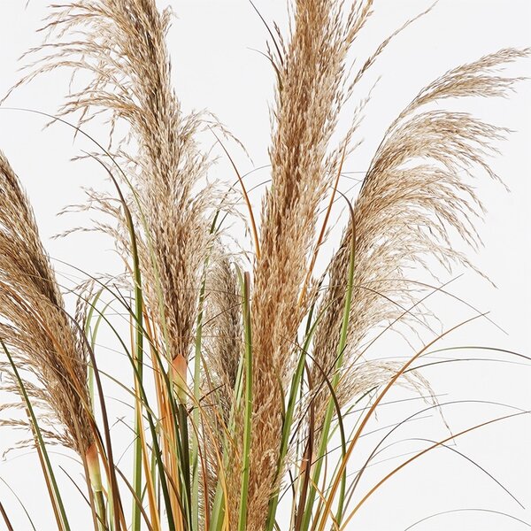 Διακοσμητικό φυτό με γλάστρα Bulrush Πράσινο 65x65x120 cm