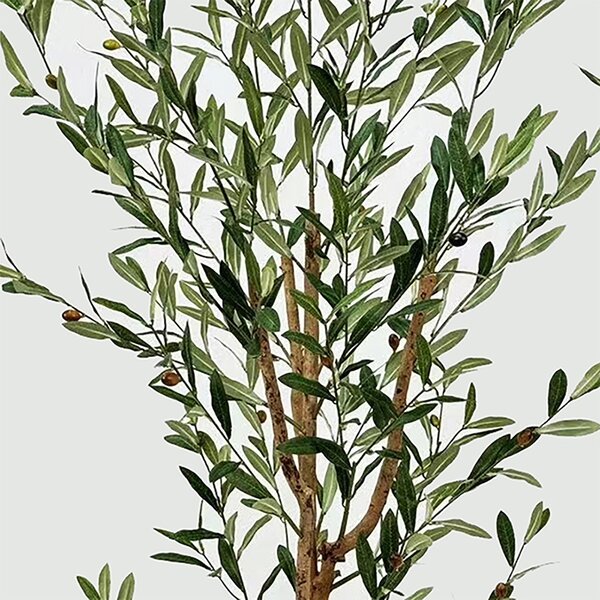 Διακοσμητικό φυτό με γλάστρα Olia Πράσινο 65x55x180 cm