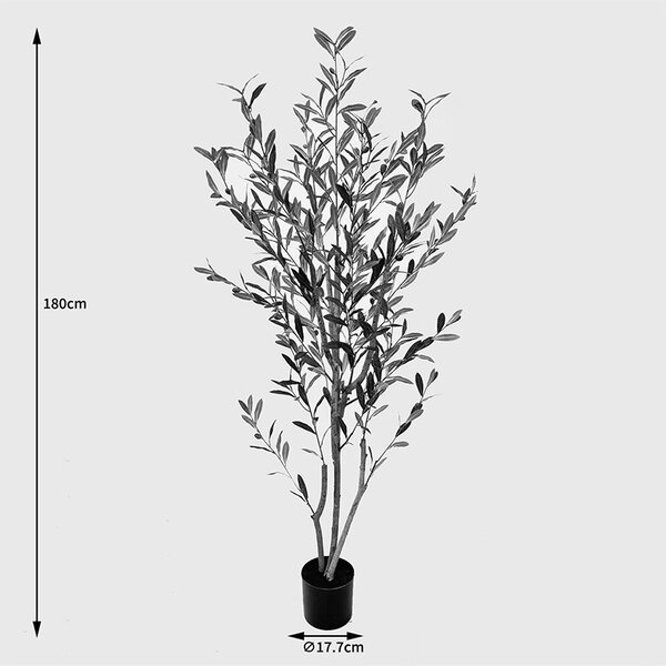 Διακοσμητικό φυτό με γλάστρα Olia Πράσινο 65x55x180 cm