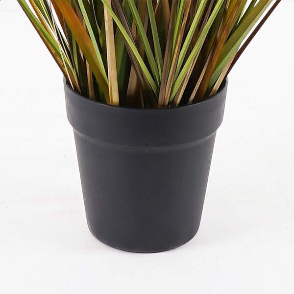 Διακοσμητικό φυτό με γλάστρα Bulrush Πράσινο 65x65x120 cm