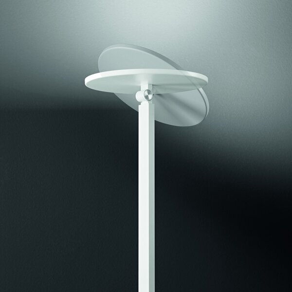 Fabas Luce Φωτιστικό δαπέδου Regina LED, λευκό, CCT, ρυθμιζόμενο, ύψος 180 cm, ρυθμιζόμενος, Λευκό, Σαλόνι / τραπεζαρία, Μέταλλο, σύγχρονο