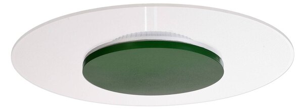 Φωτιστικό οροφής Zaniah LED, φως 360°, 24W, πράσινο