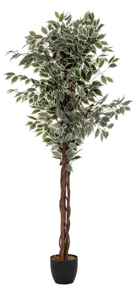 Τεχνητό φυτό atmosphera Ficus, 180 εκ