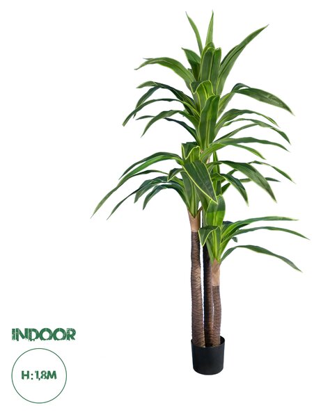 GloboStar® Artificial Garden BRAZILIAN IRON 20021 - Τεχνητό Διακοσμητικό Φυτό Αρωματική Δράκαινα Υ180cm