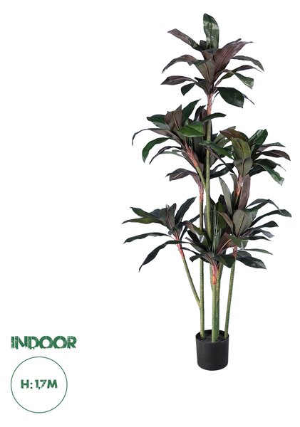 GloboStar® Artificial Garden MELANY FICUS 20041 Τεχνητό Διακοσμητικό Φυτό Φίκος Υ170cm