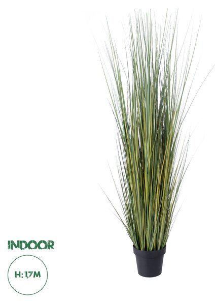 GloboStar® Artificial Garden PAMPAS GRASS 20072 Τεχνητό Διακοσμητικό Φυτό Γρασίδι της Πάμπας Υ170cm